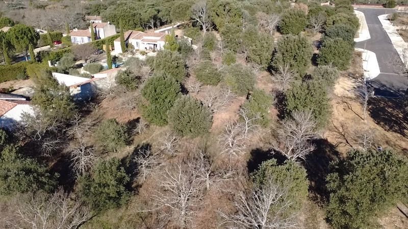 Terrain constructible - 1 311 m²