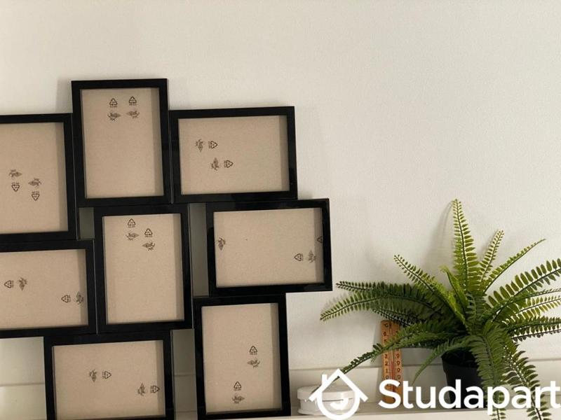 Chambre - 11 m² - 1 pièce