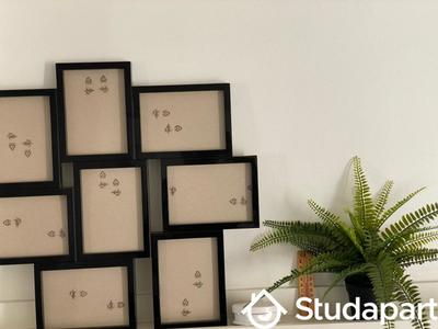 Chambre - 11 m² - 1 pièce