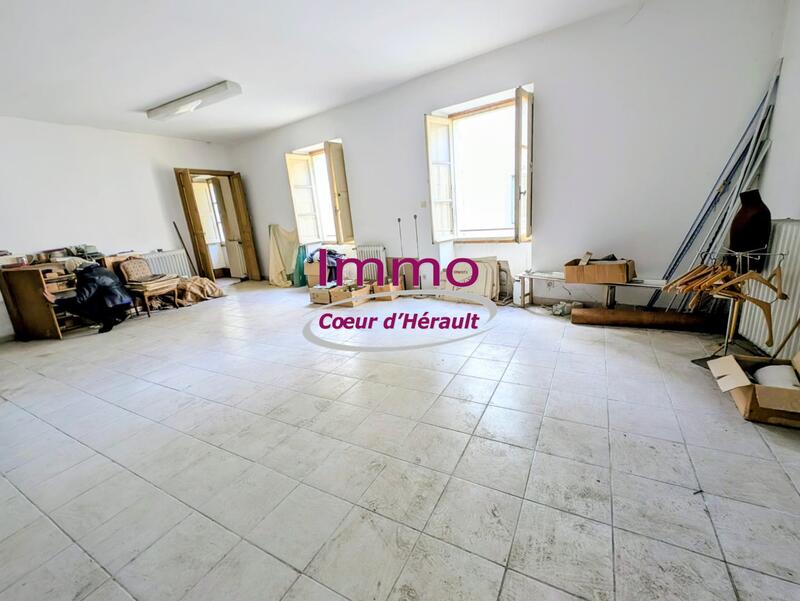 Maison ancienne - 277 m² - 11 pièces