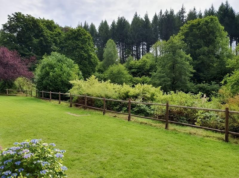 Propriété - 450 m² - 20 pièces