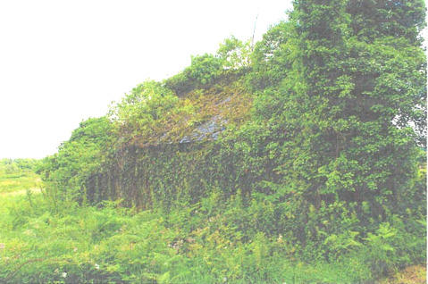 Villa - 61 m² - 1 pièce