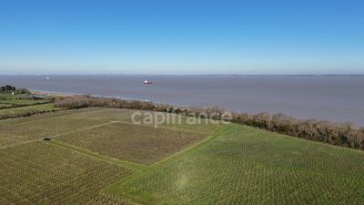 Fonds de commerce - 1 143 m²