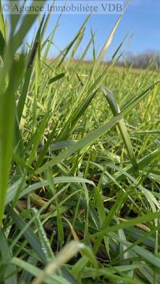 Terrain constructible - 1 895 m²