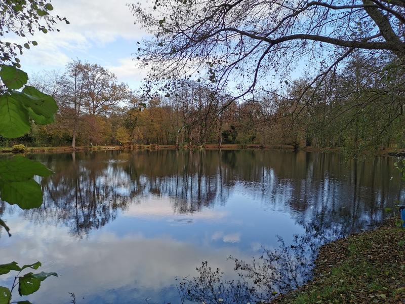 Terrain de loisirs - 10 300 m²