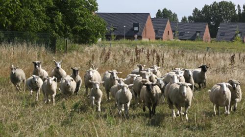 Ferme Pédagogique d'Antan