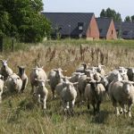 Ferme Pédagogique d'Antan