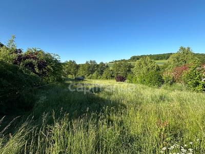 Terrain constructible - 1 003 m²