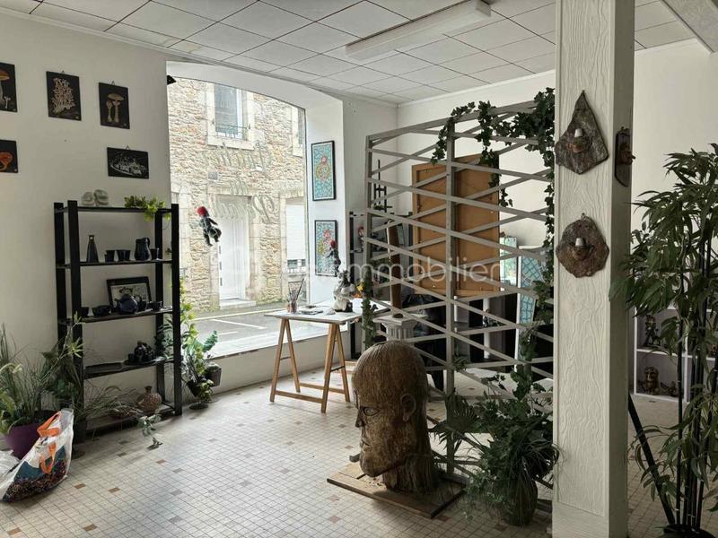 Maison - 400 m² - 9 pièces