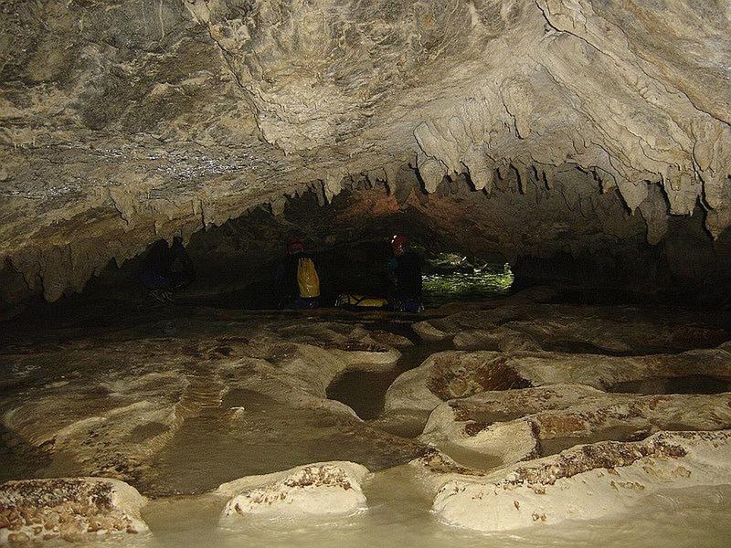Sortie nature Cpie Pays Basque : "La grotte Oihanbeltxa"