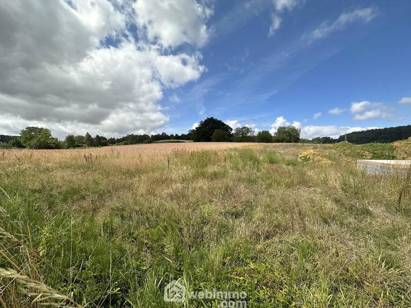 Terrain - 1 175 m²
