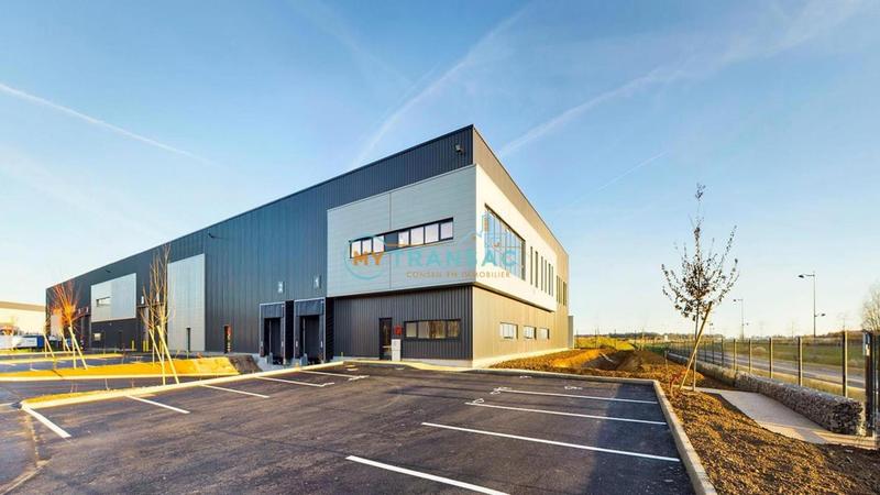 Local d'activité / Entrepôt - 3 287 m²