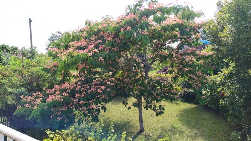 Maison - 156 m² - 5 pièces