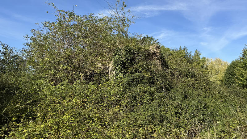 Maison - 100 m² - 1 pièce