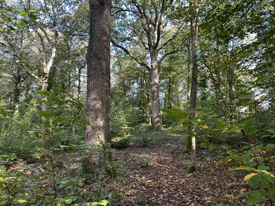 Terrain de loisirs - 338 328 m²