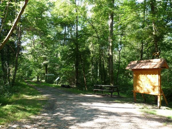 Visite commentée du sentier botanique