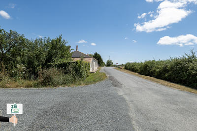Terrain - 464 m²