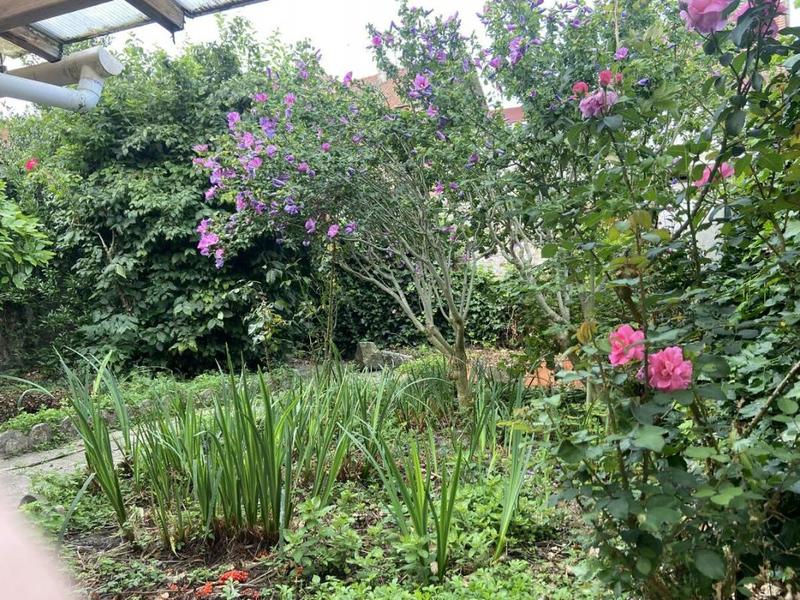 Maison - 156 m² - 8 pièces