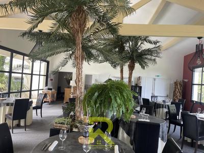 Propriété - 211 m² - 6 pièces