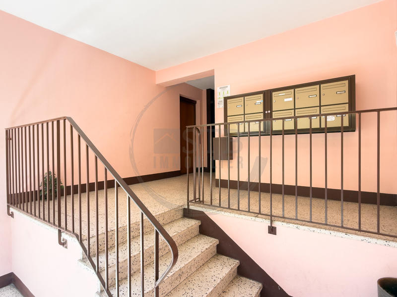 Appartement - 55 m² - 2 pièces