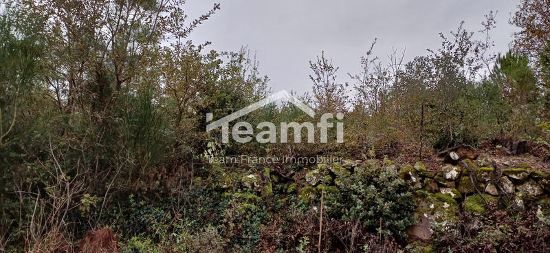 Terrain agricole - 14 279 m²