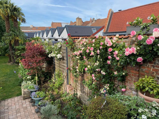 Maison - 200 m² - 6 pièces