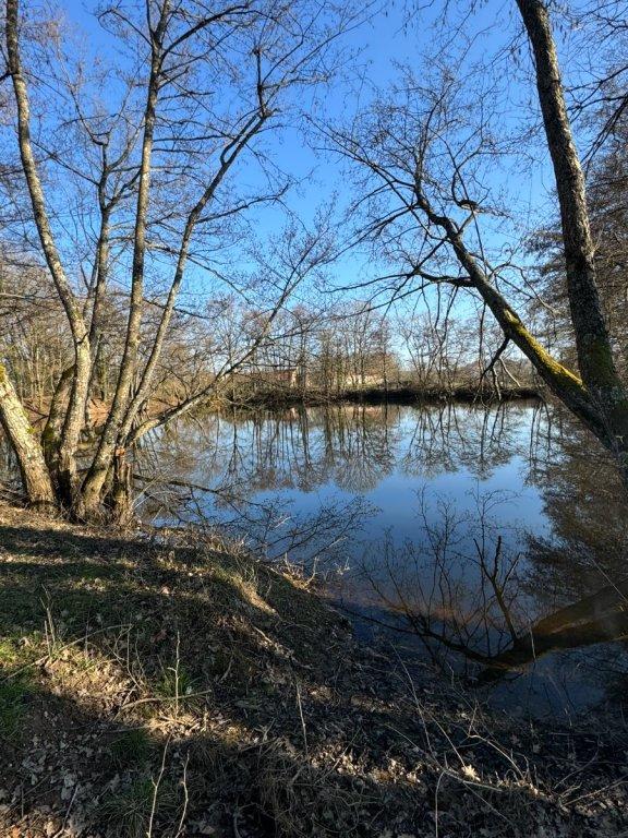 Propriété - 8 200 m² - 1 pièce