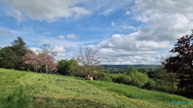 Maison ancienne - 483 m² - 12 pièces