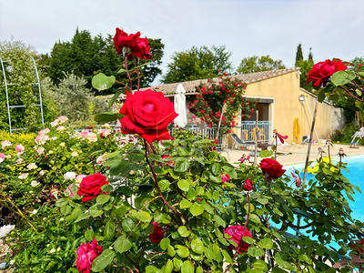 Maison - 385 m² - 12 pièces