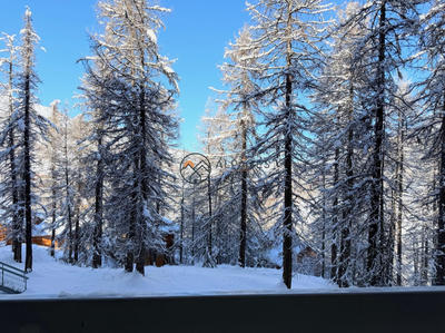 Appartement - 27 m² - 1 pièce