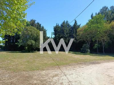 Bureau - 450 m² - 14 pièces