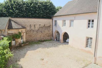 Hôtel particulier - 390 m² - 10 pièces