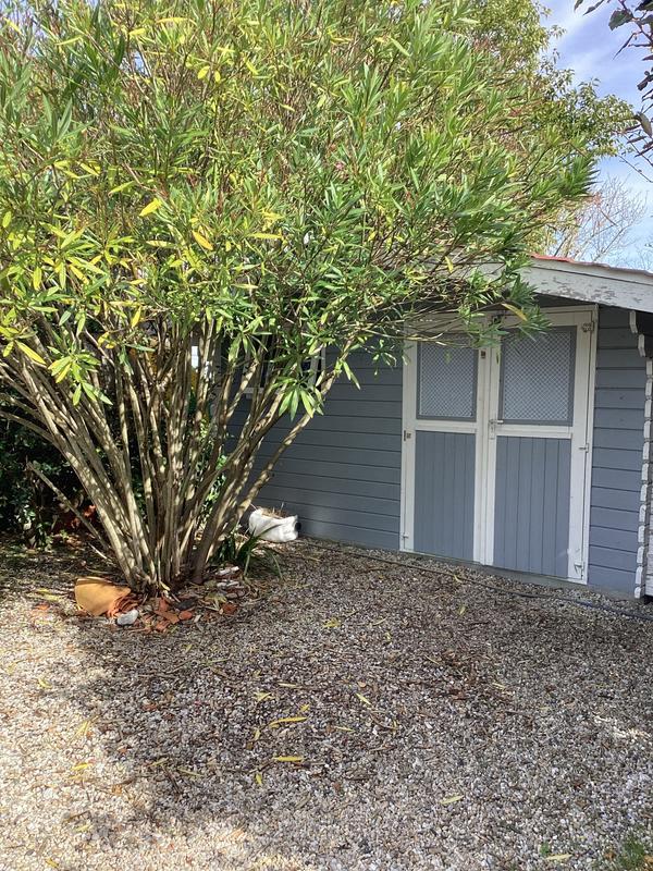 Villa - 165 m² - 7 pièces