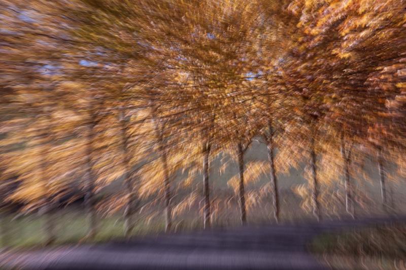 Exposition Photo : &quot; Christian Remember &quot;