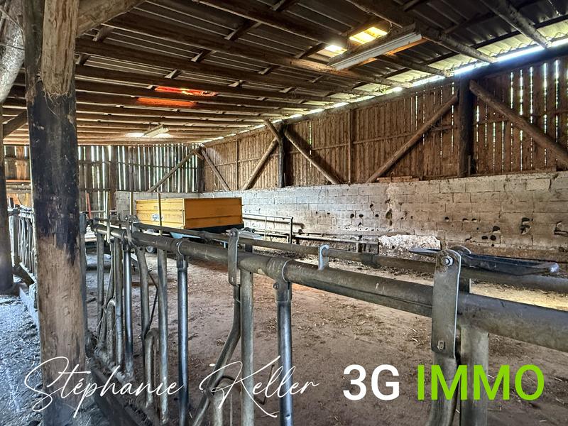 Maison - 119 m² - 5 pièces