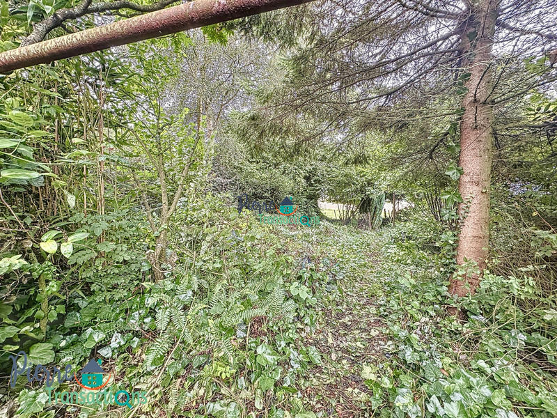 Maison - 64 m² - 3 pièces