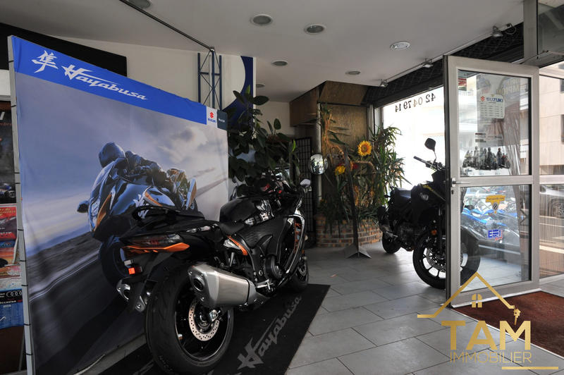 Maison - 335 m² - 10 pièces