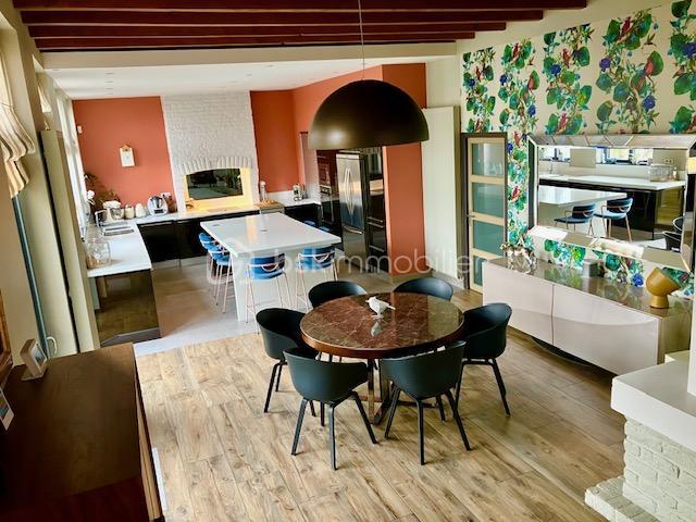 Maison - 270 m² - 7 pièces