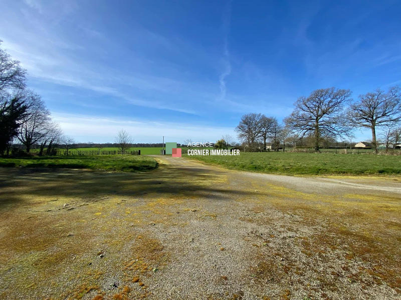 Local d'activités - 540 m² - 6 pièces