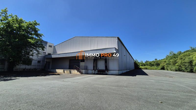 Entrepôt - 3 000 m²