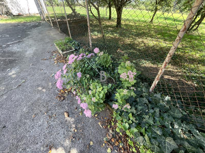 Maison - 240 m² - 8 pièces