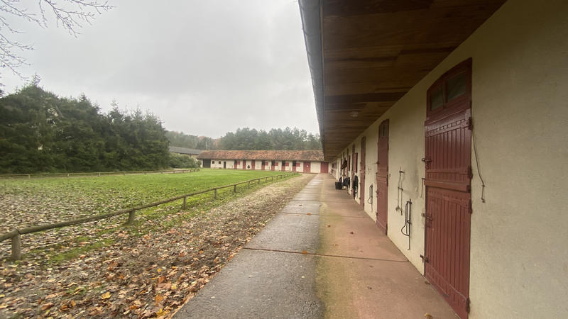 Maison de domaine équestre - 120 m² - 5 pièces