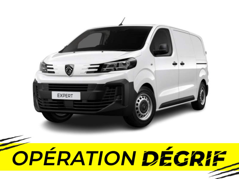 Peugeot Expert Fgn Xl Bluehdi 145 Bvm6