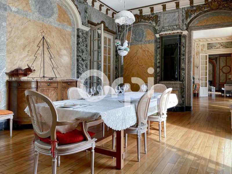 Château - 500 m² - 9 pièces