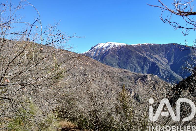 Ferme - 31 m² - 3 pièces