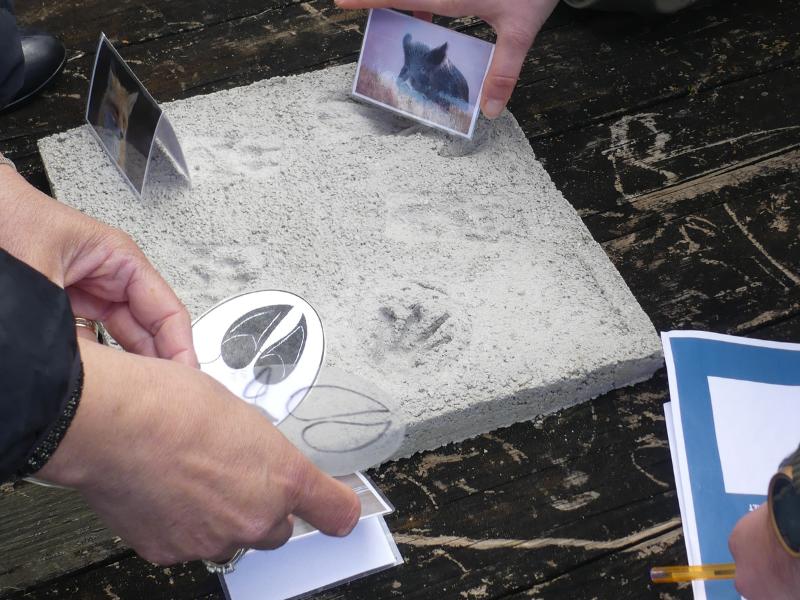 Escape game nature à Terres d'Oiseaux