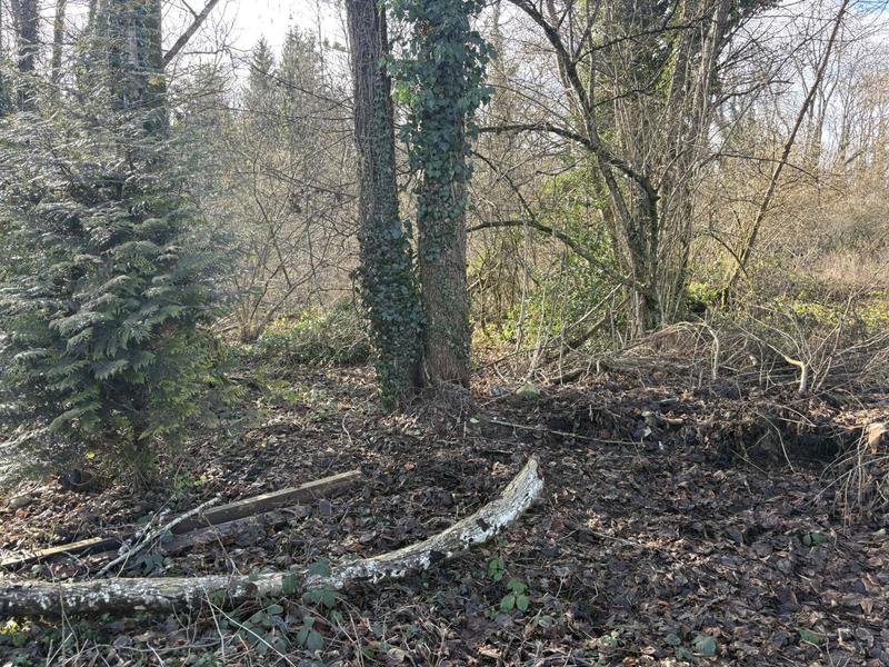 Terrain constructible - 968 m²