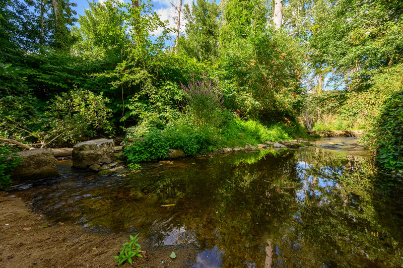 Balade nature à Thollet