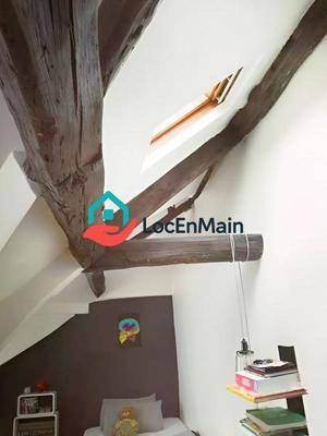 Studio - 25 m² - 1 pièce