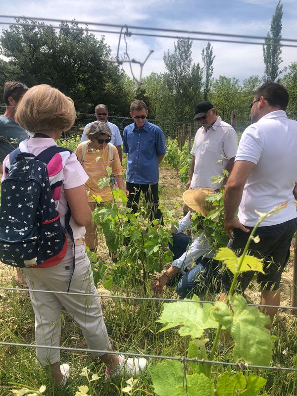 Immersion au Château Lancyre